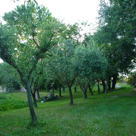 Agriturismo Lupo Bianco Monzambano Exterior photo